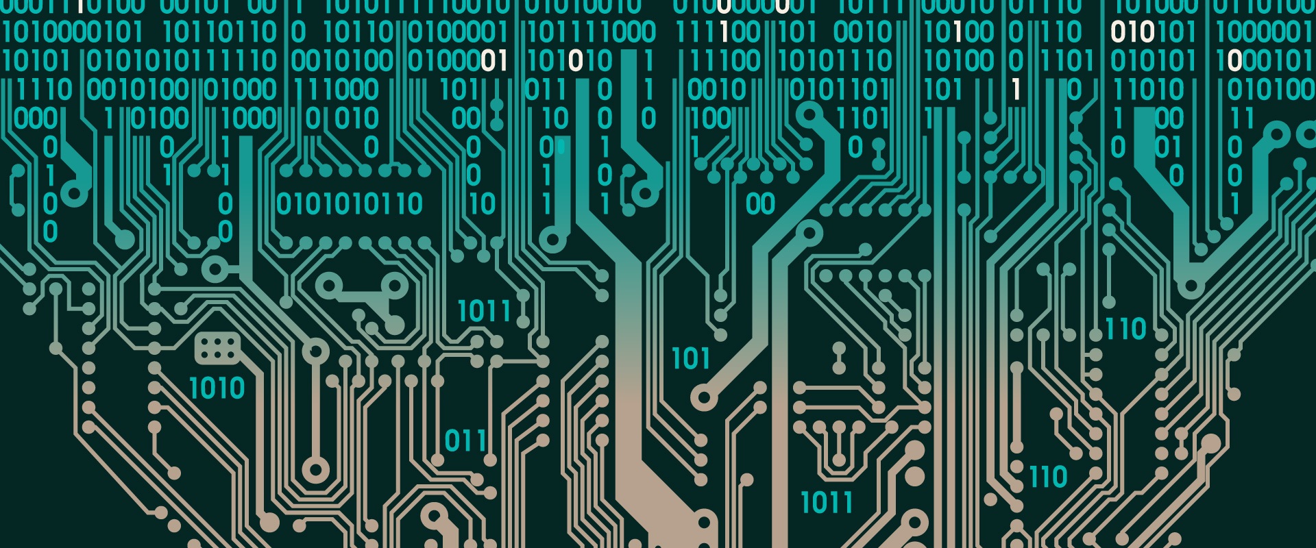 Dev Terminology 101: Common Programming Languages (and their key ...