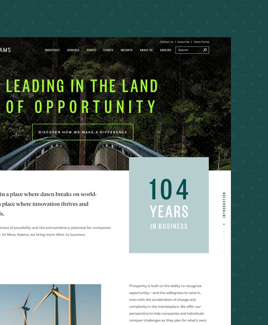 Moss-Thumb_1040x1258