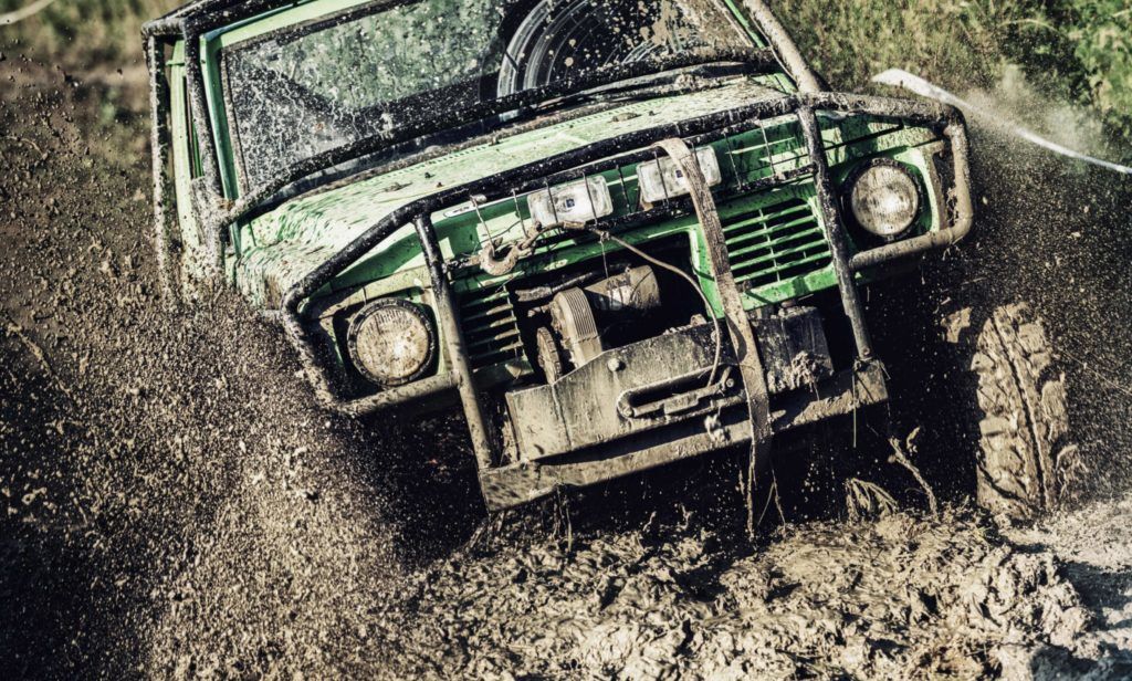 Randys-Thumb2_2600x1565