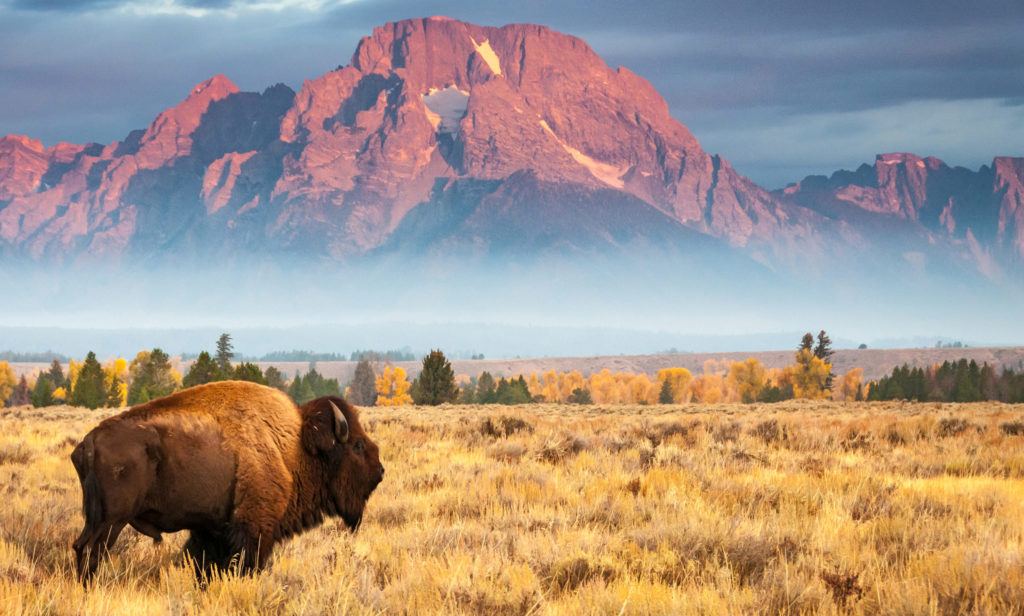 Wyoming_Thm_2600x1565