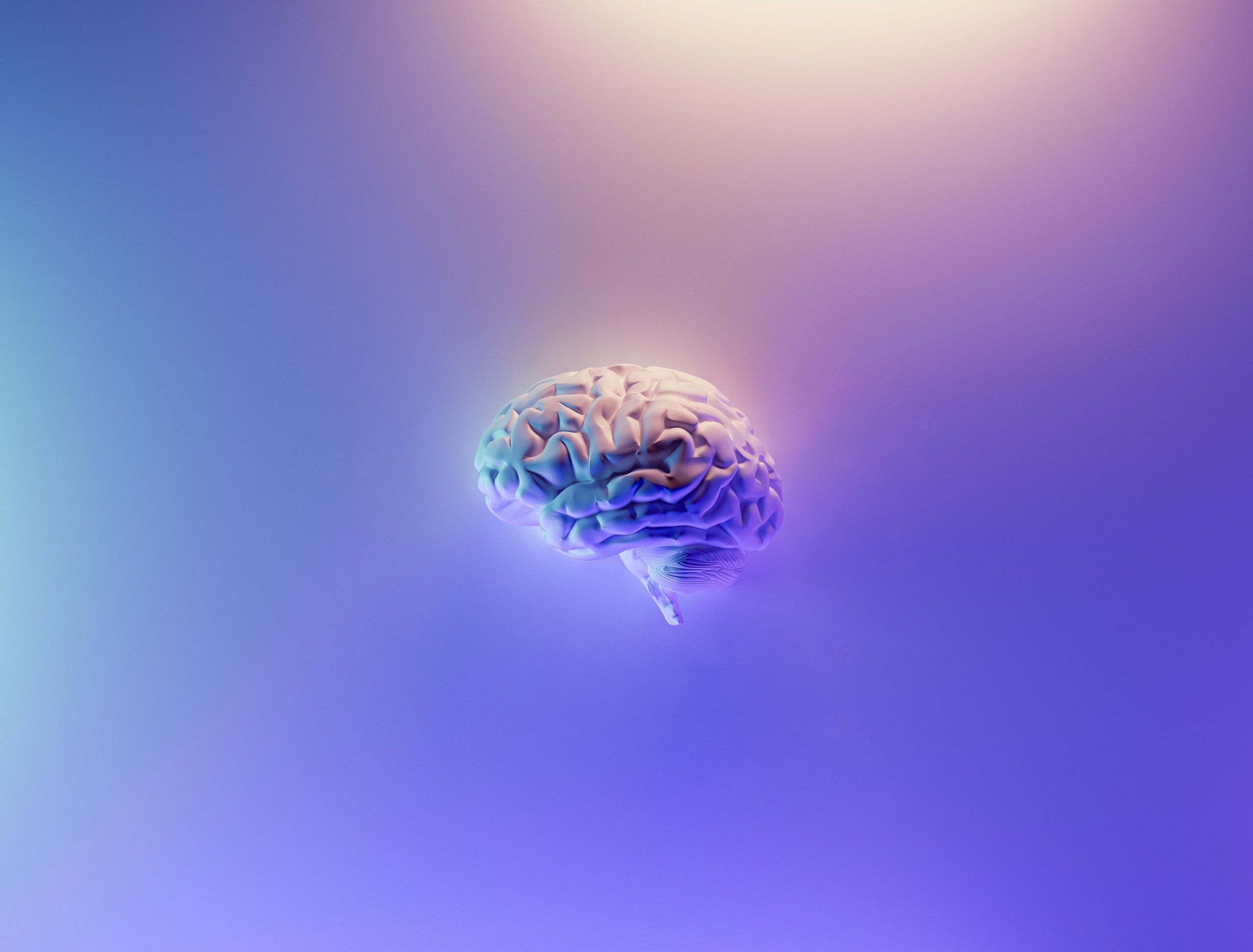 Evolving Artificial Intelligence Through Robotics