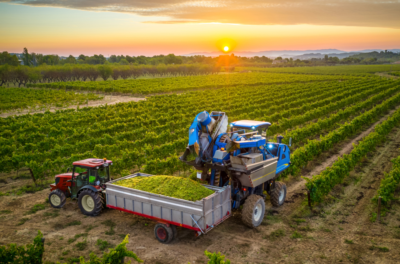 Robots in Agriculture: Transforming the Future of Farming - Fresh ...