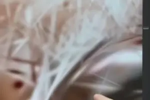Gaussian splatting in sports can draw inspiration from the 3D brush strokes of this cutting-edge form of computer vision.