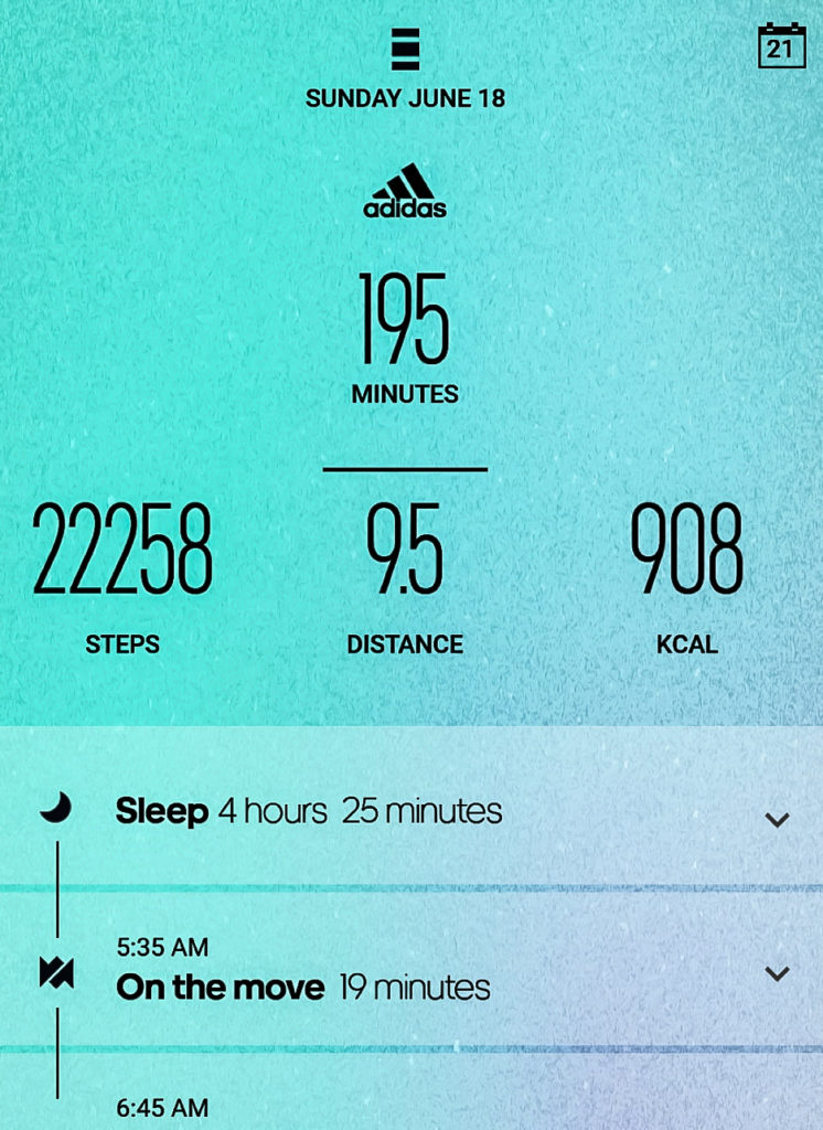 All Day adidas Fresh Consulting